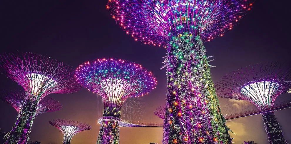 Best Of Singapore Honeymoon Packages - Viz Travels
