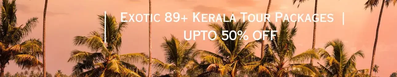 Exotic 89+ Kerala Tour Packages | UPTO 50% OFF - Viz Travels