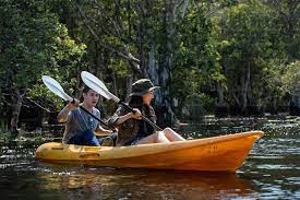 Mangrove Kayaking Tour in malaysia - Viz Travels