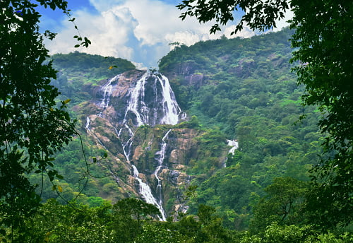 Book Dudhsagar Waterfall With Goa Tour Package - Viz Travels