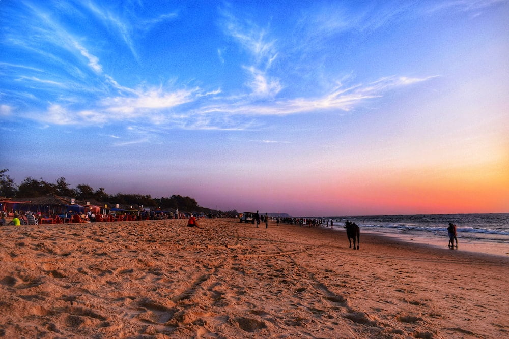 Book Goa Tour Package From Hyderabad - Viz Travels