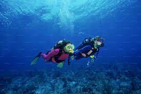 Book Scuba Diving, Phuket, Thailand Packages - Viz Travels