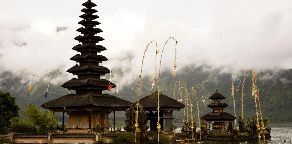Family & Friends 5 Days, 4 Nights Bali Tour Package - Viz Travels