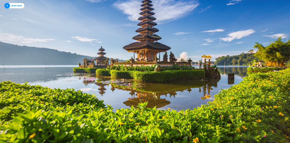 Bali Tour Packages From India - Viz Travels