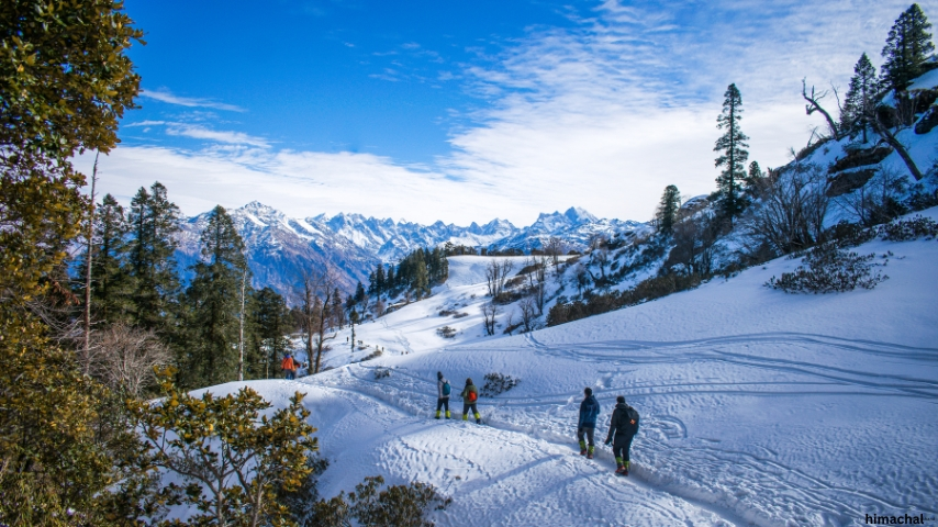 Best Of Manali Shimla Tour Package From Delhi Viz Travels