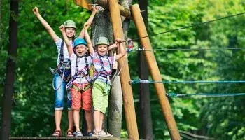 Adventure Rope Course in Munnar, kerala tour packages - Viz Travels