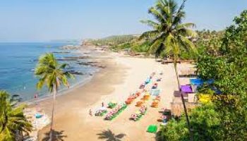 Book 3 Night 4 Day North Goa Tour Package - Viz Travels