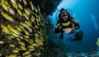 Book Scuba Diving At Malvan Goa Packages - Viz Travels