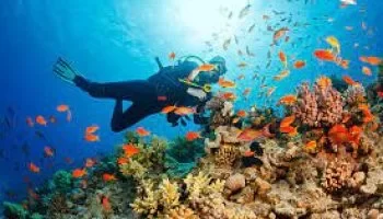 Book Scuba Diving In Dubai, Dubai Tour Packages - Viz Travels