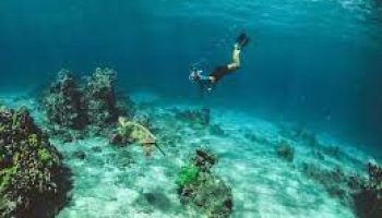 Book Snorkeling At Grande Island Goa Packages - Viz Travels