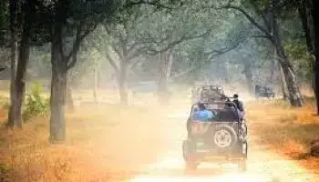 Jeep Safari Munnar to Vattavada, kerala tour packages -Viz Travels