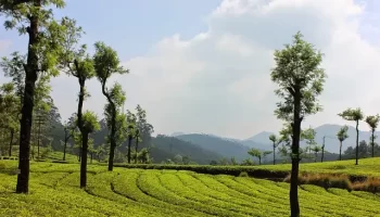 Kerala Short Trip – Explore Kerala Tourism - Viz Travels