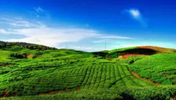 Kerala Tour Packages from Coimbatore - Viz Travels