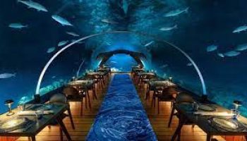 Romantic Dinner at 5.8 Undersea Restaurant - Viz Travels