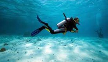 Scuba Diving At Grand Island - Viz Travels