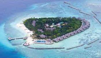Taj Coral Reef Maldives Resort - Viz Travles