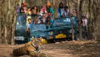 Wildlife Sanctuary Jeep Safari, kerala tour packages - Viz Travels